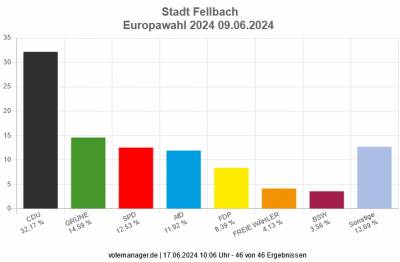 Stimmenanteil bei der Europawahl 2024