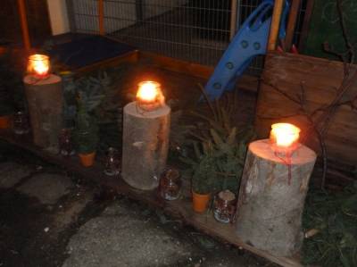 Der Hof der Familie Hummel ist feierlich geschmckt. 