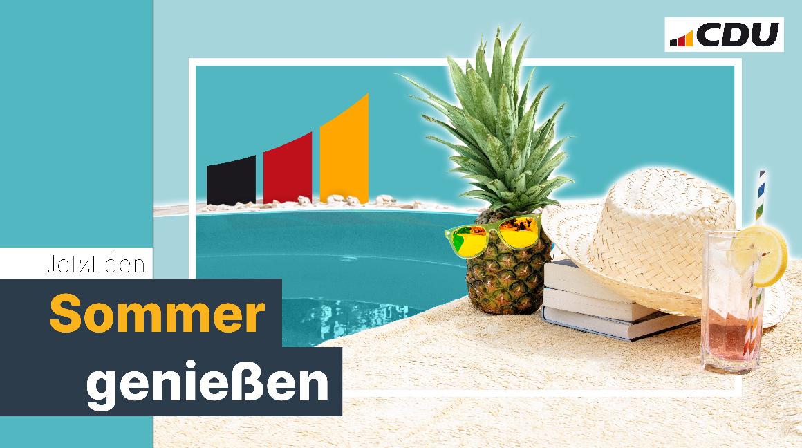 Politisches Sommerfest 2025